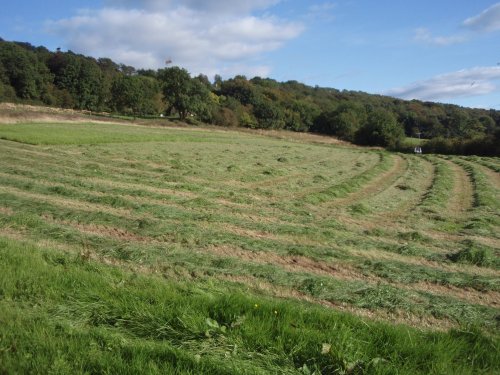 Cutting Hay